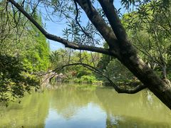-上海醉白池公园