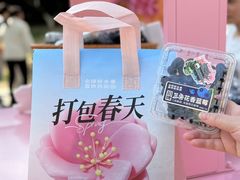 -堤角公园