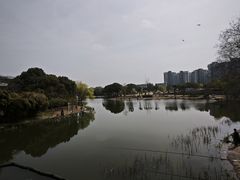 -新江湾城公园