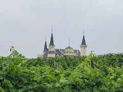 -北京张裕爱斐堡酒庄