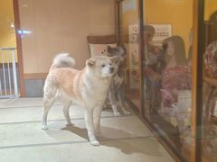 -大江户·温泉洗浴(浑南店)