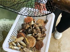 -海岸风情蒸汽海鲜自助餐厅(家宴金手勺店)