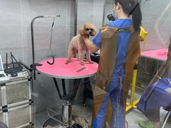 -宠福鑫康馨动物医院·骨科·眼科