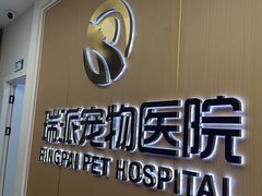 -瑞派康怡24h宠物医院·犬猫医疗中心·微创绝育(瑞景分院)