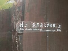 -善园(月湖盛园店)