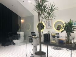 -大象造型