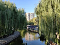 -团结湖公园