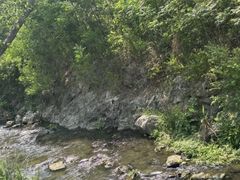 -羊山湖公园