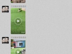 -汪说喵讲宠物乐园宠物酒店(红星美凯龙店)