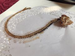 -莆鑫海鲜城(浏河店)