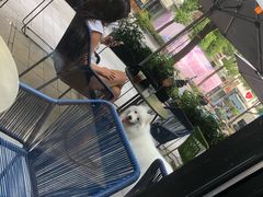 -Wagas沃歌斯(大学路店)