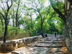 -阳台山自然风景区