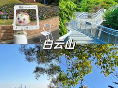 -英皇电影城(平安金融中心IMAX激光店)