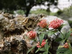 -广西大学(大学东路校区)