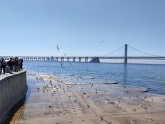 -星海湾跨海大桥