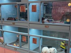 -FAELING PETS美天灵宠物(合生汇店)