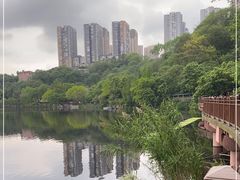 -重庆彩云湖湿地公园