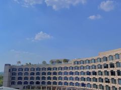 这一次住了湖景大床房-杭州君悦酒店
