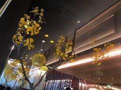 -京华烟云·北京烤鸭(领展购物广场·中关村店)