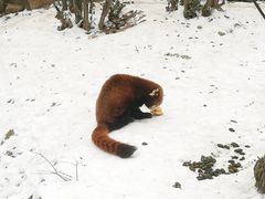 -西安秦岭野生动物园