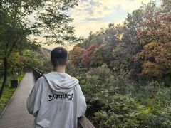 -三块石国家森林公园