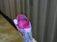 android_upload_pic-老东营·东营菜(西四路店)