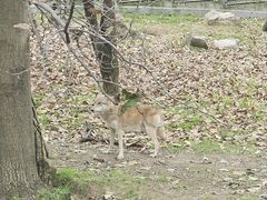 -西安秦岭野生动物园