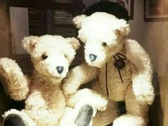 -济州岛泰迪熊博物馆