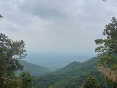 -海南热带雨林国家公园吊罗山景区
