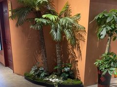 -虎子烧烤(湘江北路店)