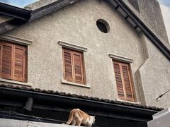 -新旺茶餐厅•早餐(迪士尼小镇店)