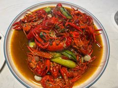 -杨氏青龙虾·羊蝎子(托乐嘉店)