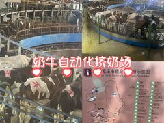 -君乐宝优致牧场
