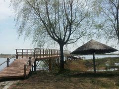 -白渔泡湿地公园
