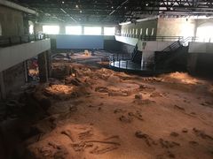 -自贡恐龙博物馆