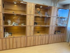 -猫十亿·布偶金渐层·曼基康矮脚猫舍(青年路店)