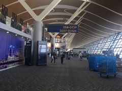 -上海浦东国际机场-T2航站楼