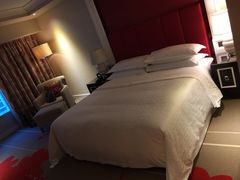 澳门喜来登金沙城中心酒店-澳门喜来登大酒店