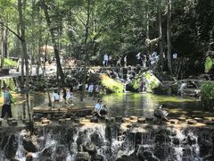 -牛背梁国家森林公园