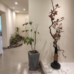 -康颜SPA自然疗愈皮肤管理中心