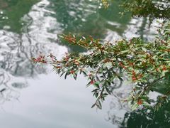 -花溪公园