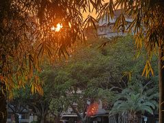 -白鹭洲公园