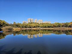 -燕郊植物园
