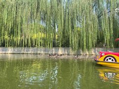 -南翠屏公园