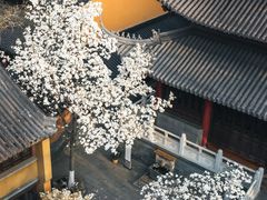 -灵谷景区