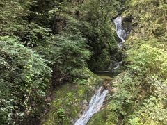 -牛背梁国家森林公园