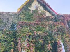 -黑龙江省森林植物园