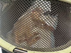 -瑞派·关忠动物医院·猫专科·犬专科(三环新城店)