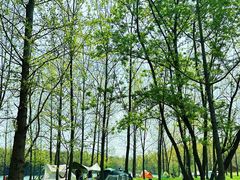 -蜀冈西峰生态公园