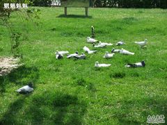 -北京大学肿瘤医院